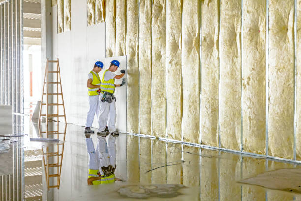 Types of Insulation We Offer in Belmont, VA